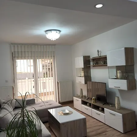Apartment Djuric *